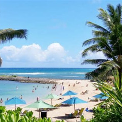 Best Things To Do In North Shore Oahu Tours Reviews