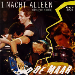 1 Nacht Alleen