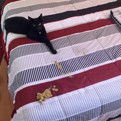 saur faur saur gaurd 😋