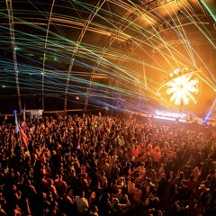 Rave roots