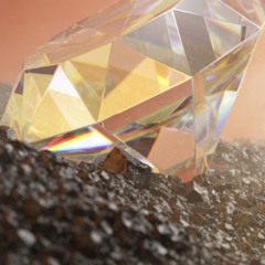 Diamond In The Dirt🎒💎