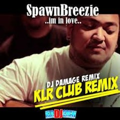 Spawnbreezie - I'm In Love [DJ Damage of KLR DJ Crew Remix]