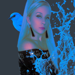 Little Bird