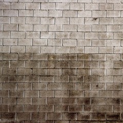 Straight into a wall