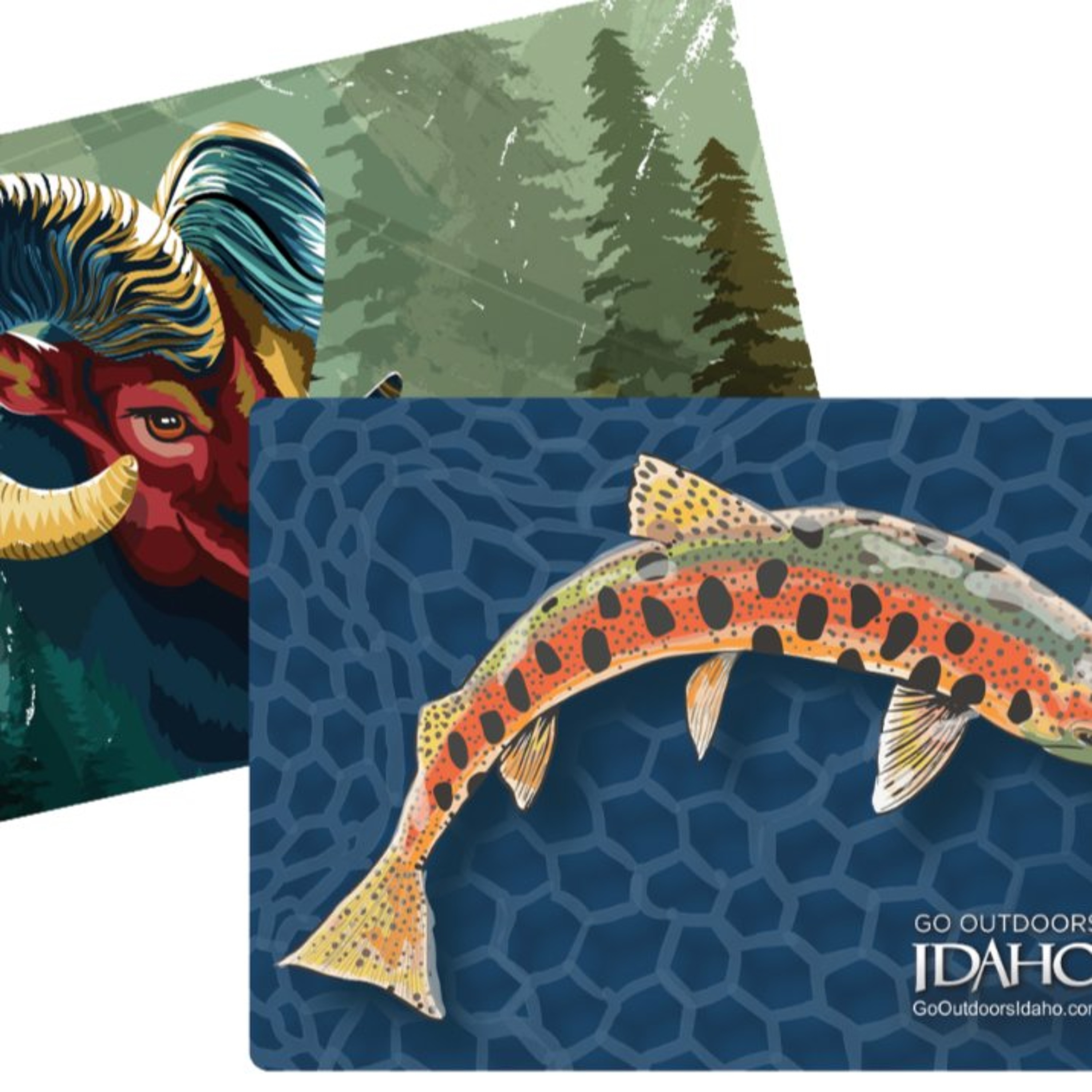 $1,000 on the line: IDFG holding statewide art contest episode artwork