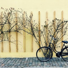 Podcast #6 - Sunday Roast