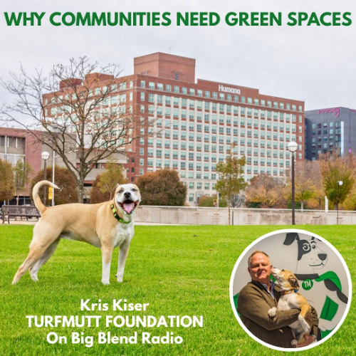 Why Communities Need Green Spaces