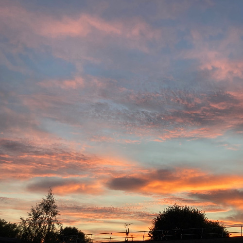 Lua - Bright Eyes cover