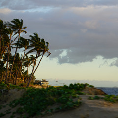 pillow teeth and glass eyes