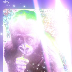 Yummee Yammee