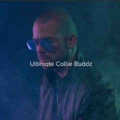 Ultimate Collie Buddz