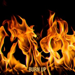 burn up