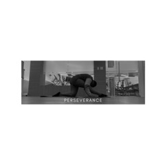 VIII. perseverance