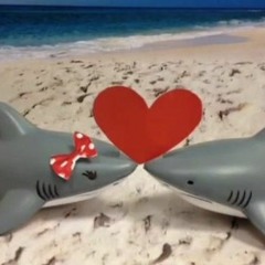 SHARK LOVE