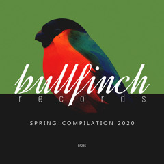 Anhelo [Bullfinch]