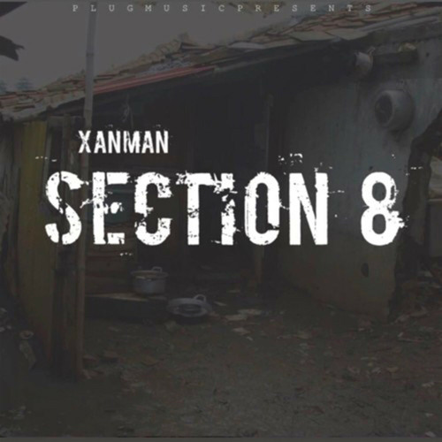 Section 8