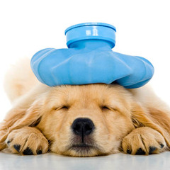 ACHOO!! (throwaway from me being sick)