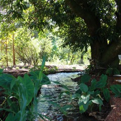 14.06.2022 - Cap. XI - Amar o Próximo Como a Si Mesmo - O Egoísmo (7)