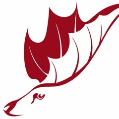 Fallen Leaves Garden // Broken