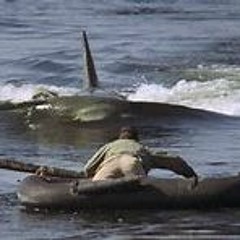 The Big Jolt! (Jaws 2) John Williams RECONSTRUCTED FROM THE RECORDING BY NICOLAS KINGMAN