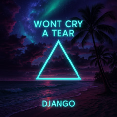 Wont Cry a Tear
