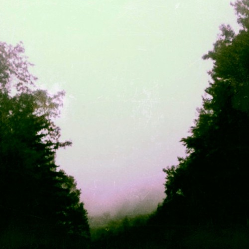 OneSkip - In The Trees (Prod. RonnyRX)