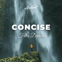 Felix Dreiser - Concise