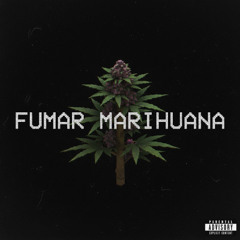FUMAR MARIHUANA [PROD. N666]
