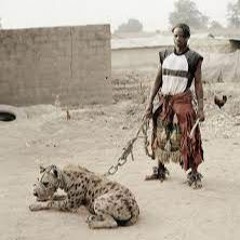 agni kai smpl 155bpm