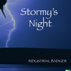 STORMY'S NIGHT