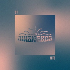 Podcast 001 - Tine Vrabič [Nitz]