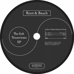 Root & Bauch - The First Triumvirate EP GEMiNii 000 [Snippet]