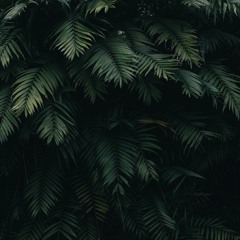 OWZUN X HIGHKING - I WANNA LOVE YOU (AKON)