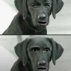 Quick Take Freestyle (Pt. 2)