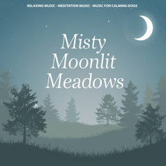 Misty Moonlit Meadows
