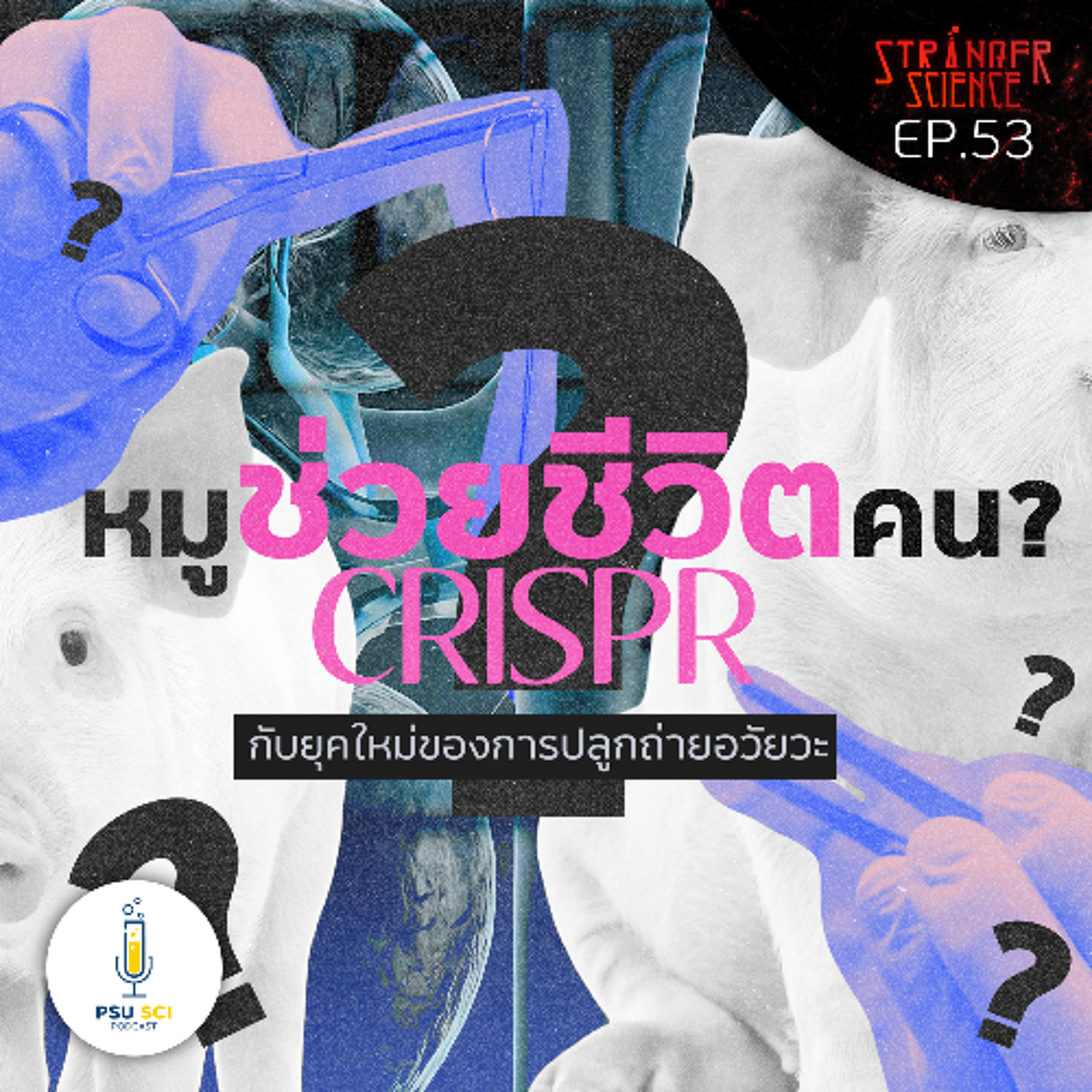 Stranger Science EP.53 หมูช่วยชีวิตคน? CRISPR กับยุคใหม่ของการปลูกถ่ายอวัยวะ