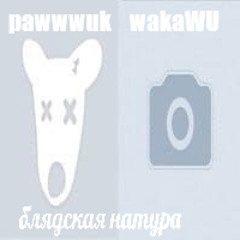 WakaWU + pawwwuk = БЛЯДСКАЯ НАТУРА