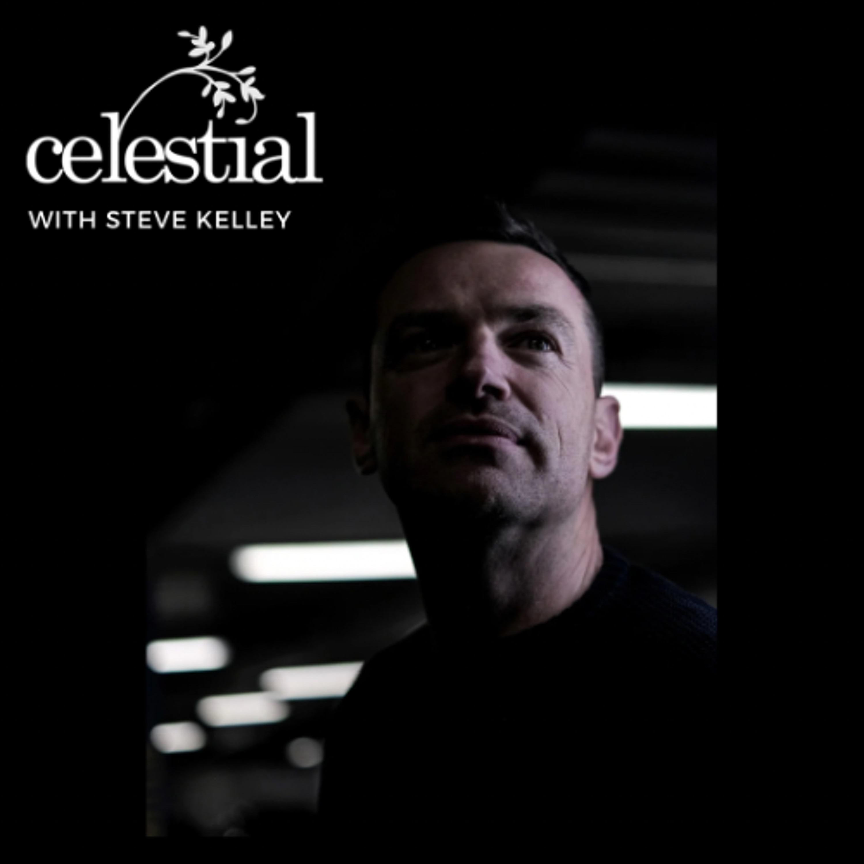 Celestial with Steve Kelley