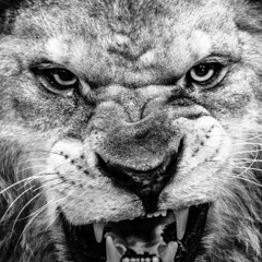 IvoGodoy - NOS LO PROMETIMOS