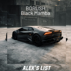 BORUSH - Black Mamba