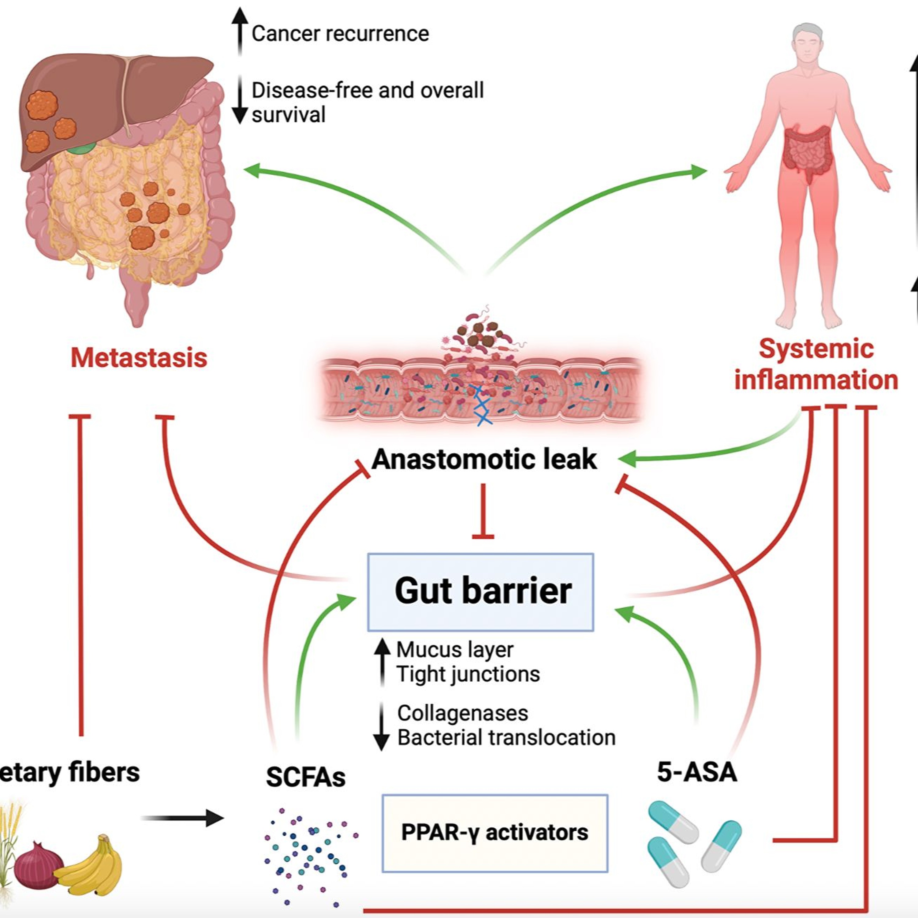Oncotarget