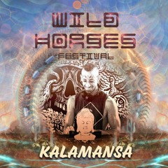 Kalamansa @ Wild Horses Festival 2022  [PsyTech Demo Set]