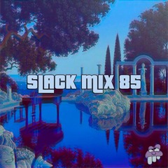 SLACK MIX 85