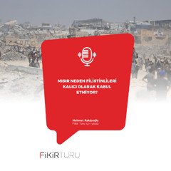 Mısır neden Filistinlileri kalıcı olarak kabul etmiyor?