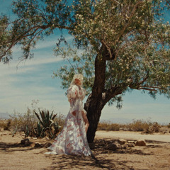 Wings (Fly Baby Fly OST)