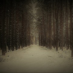 Don't Dress In Black