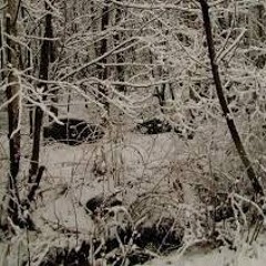 5 TO THE 4 ( FT MIKOMOOD)