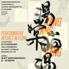 siyi performance