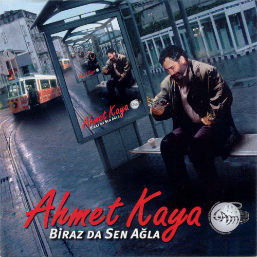 filmelit com seda sayan sevgilim