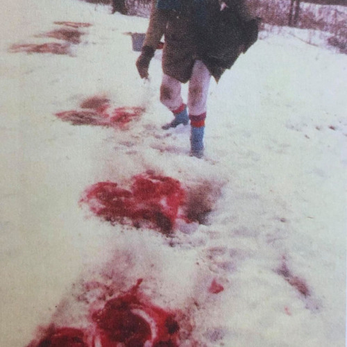 SoHo +video in desc+